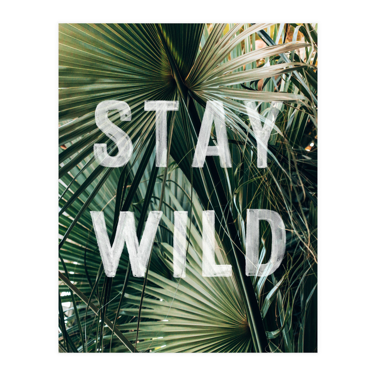 Stay Wild  (Print Only)