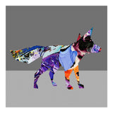 Crazy Ab Fox (Print Only) thumbnail