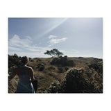 Mt. Tamalpais (Print Only) thumbnail