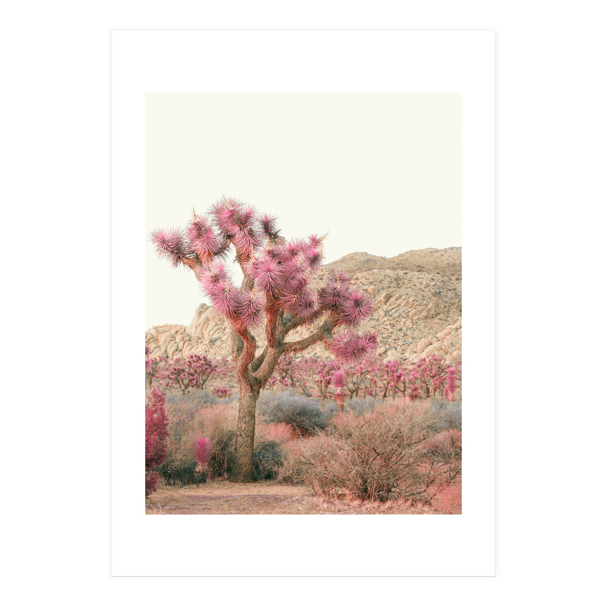 Boho Joshua Tree Cactus (Print Only)
