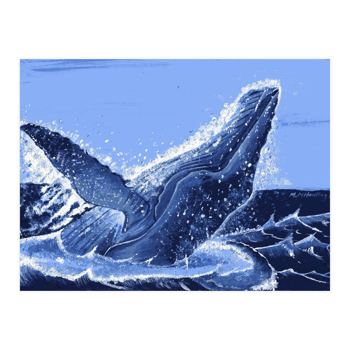 Humpback Whale Breaching  (Print Only)