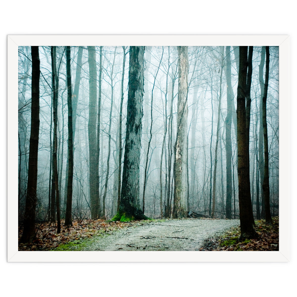 Gather Up Your Dreams