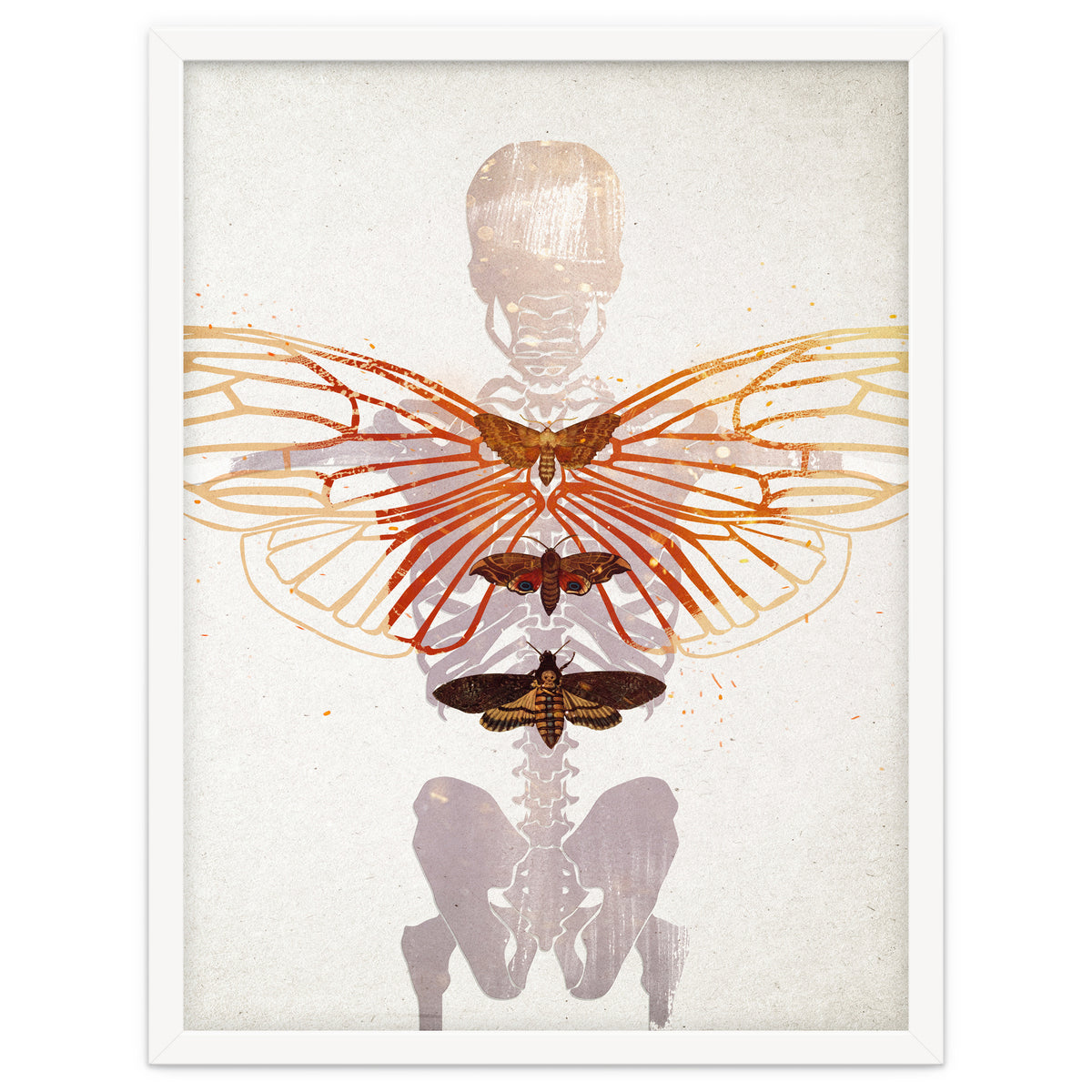 Ikarus - Like a Moth to the Flame