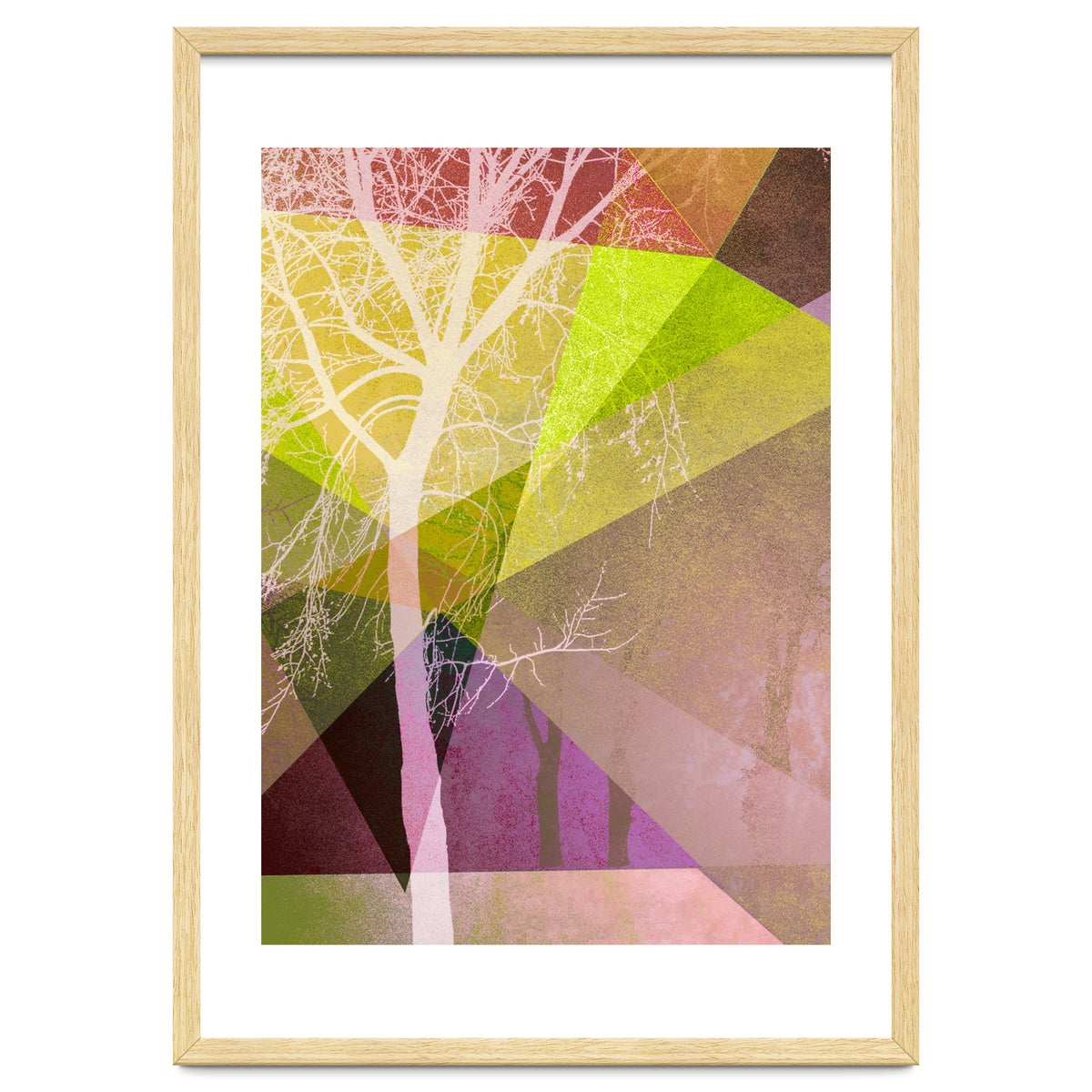 P22 Trees And Triangles