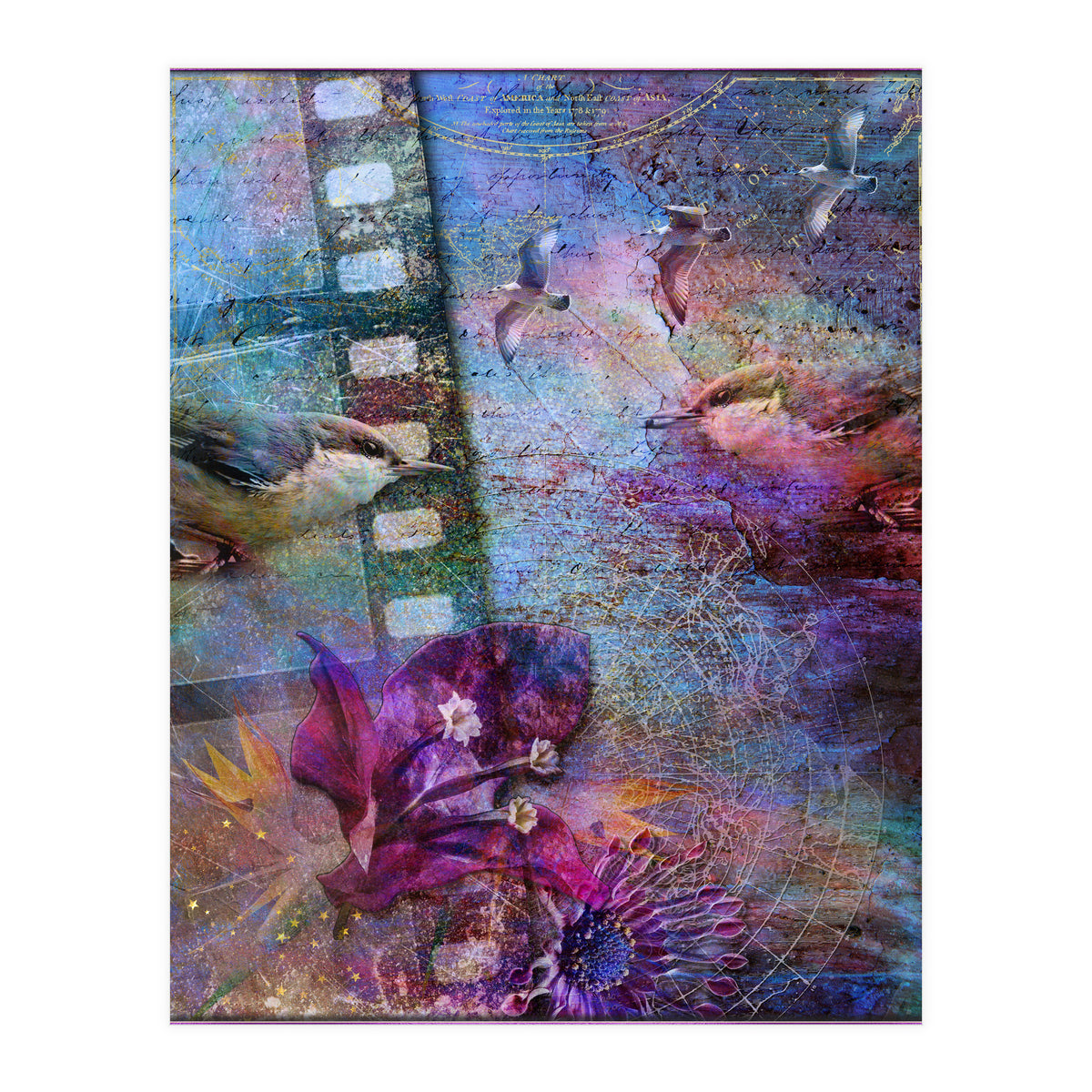 Watching the Wild World (Print Only)