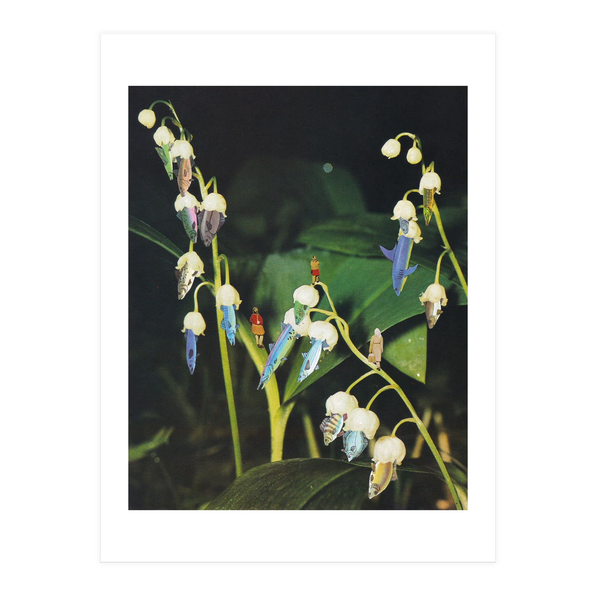 Fishflower (Print Only)