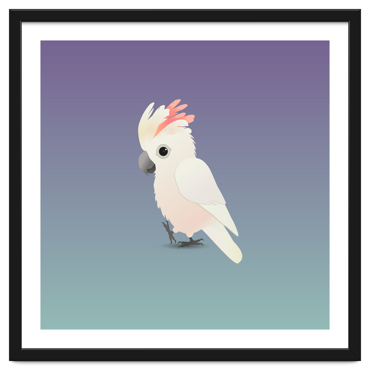 Salmon-crested cockatoo