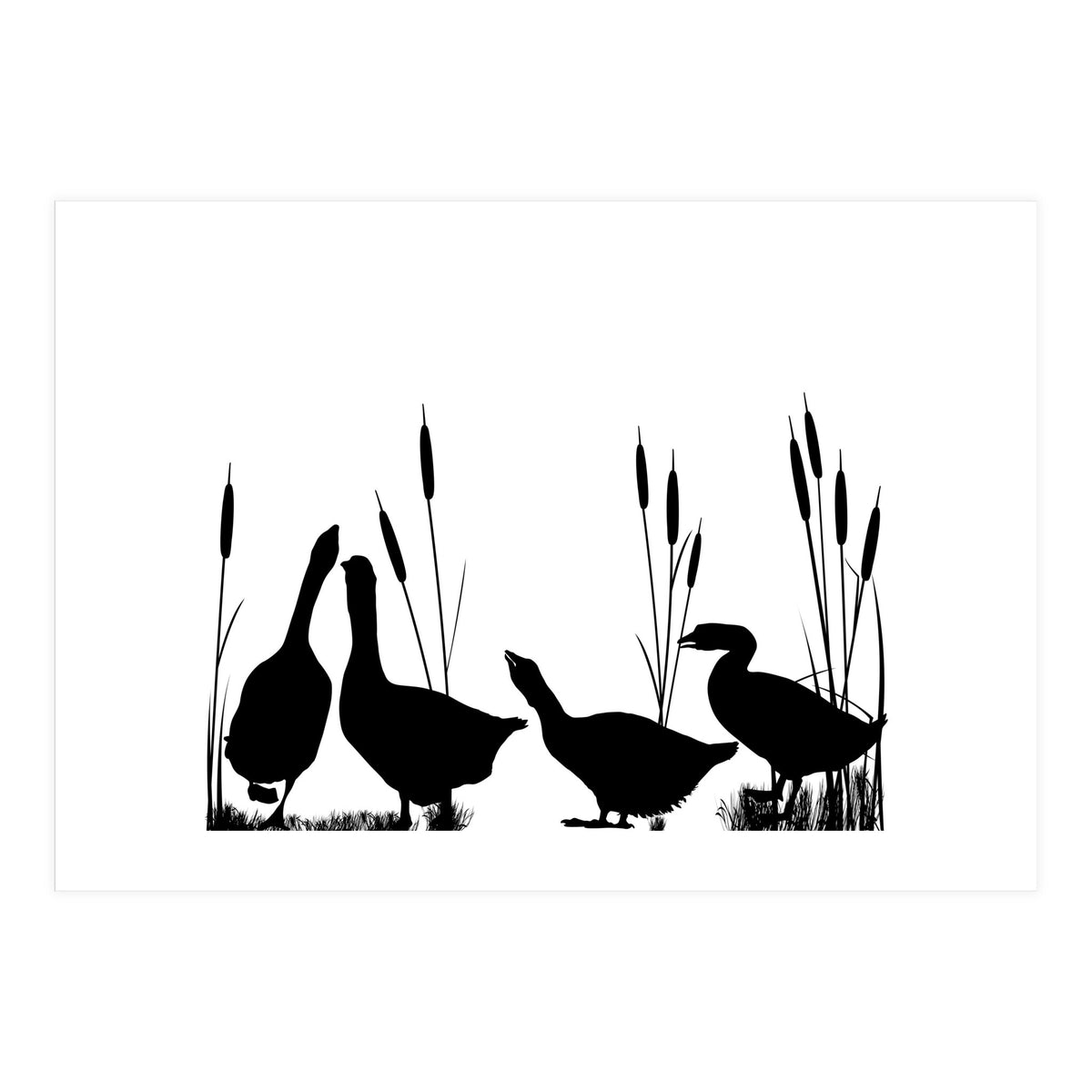 Geeses  (Print Only)