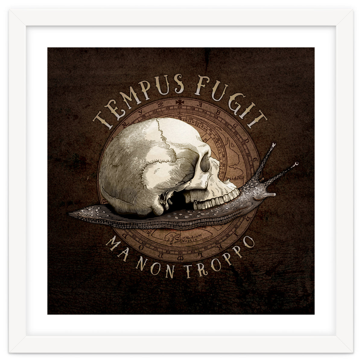 Tempus Fugit (ma non troppo)