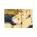 Zara (Print Only) thumbnail