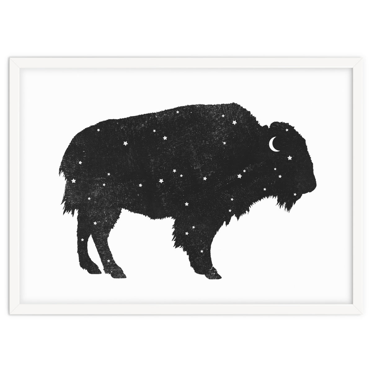 Mystic Buffalo