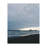 Ocean Beach II (Print Only) thumbnail