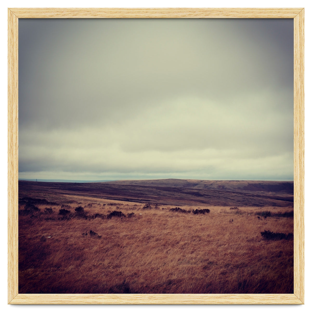 Bleak winter landscape of Saddleworth Moor