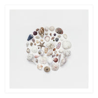 Treasures From The Ocean - Square (Print Only)