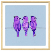 Three purple birds