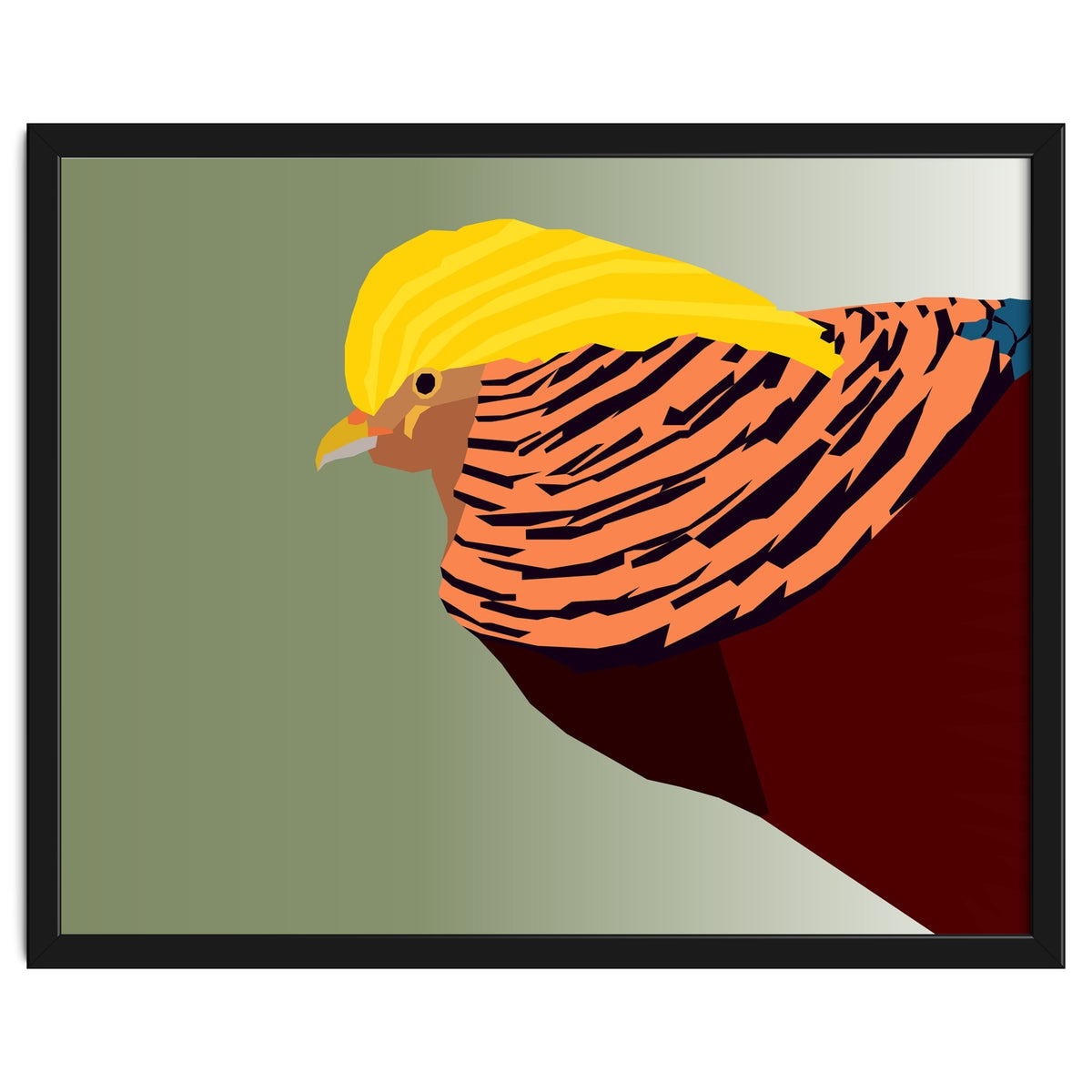 Golden Pheasant Bird Art