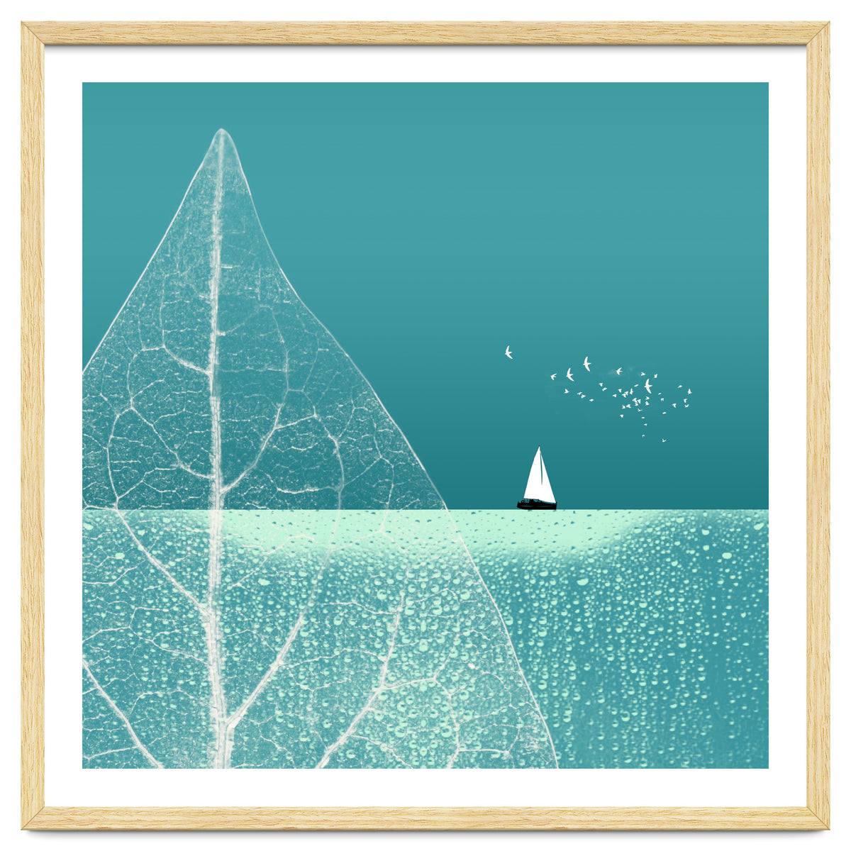 Ocean Wonderland Ii-B