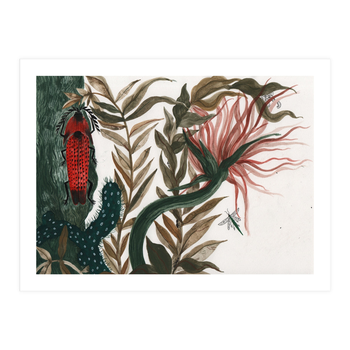 Insects (Print Only)