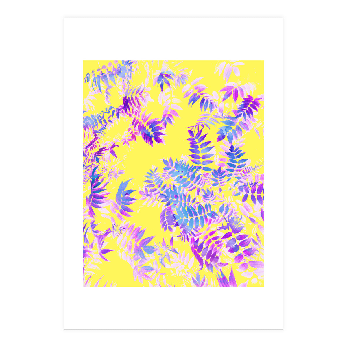 Vibrance (Print Only)