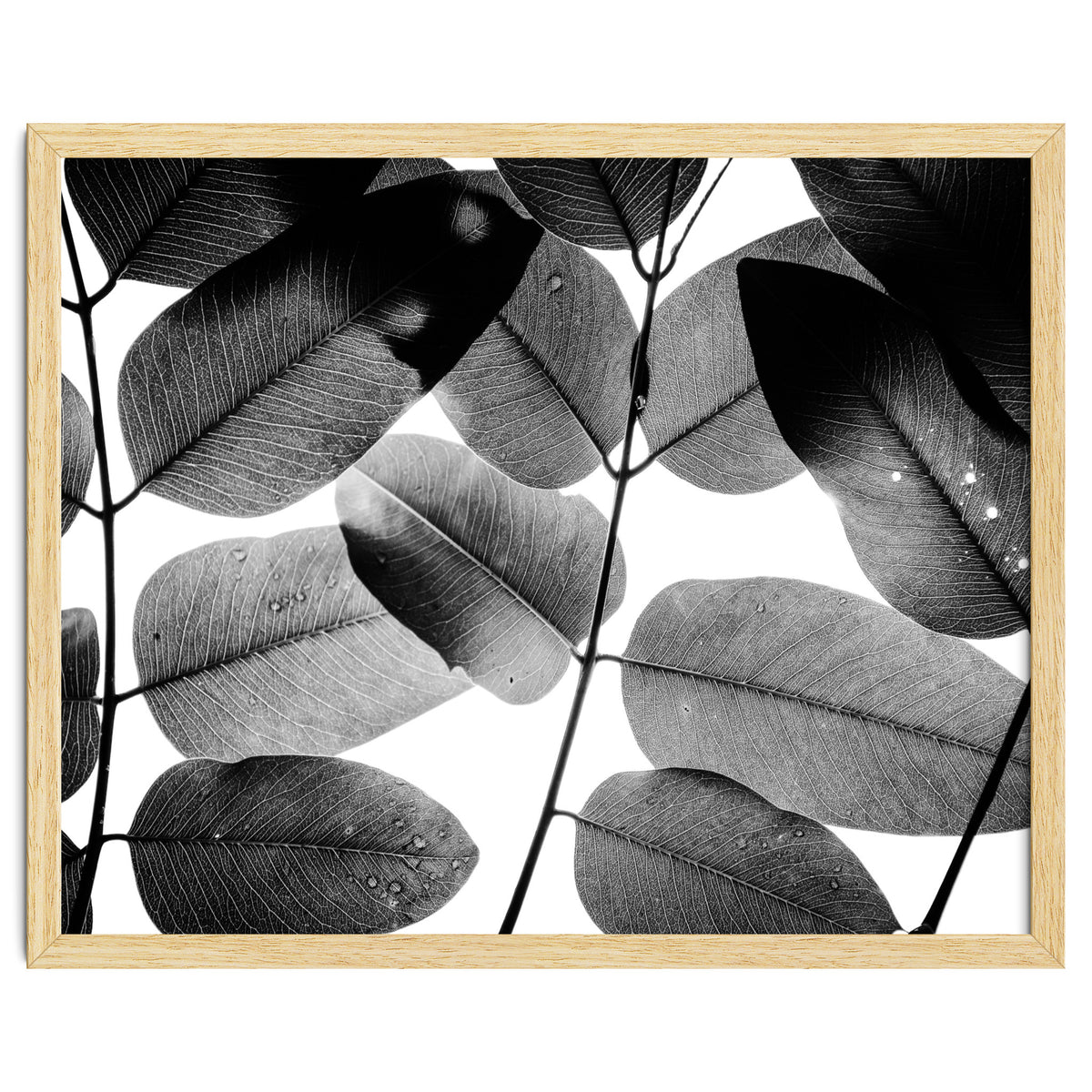 Experiments with Leaves II