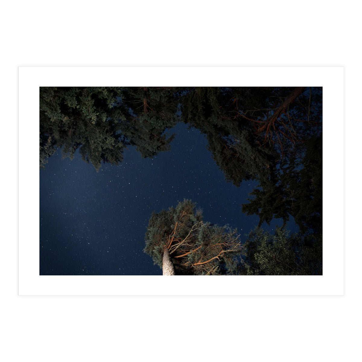 Sputnik Turntables (Print Only)