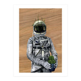 Cacti (Print Only) thumbnail