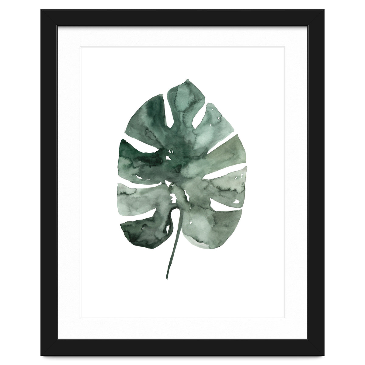 Botanical Illustration Monstera Leaf