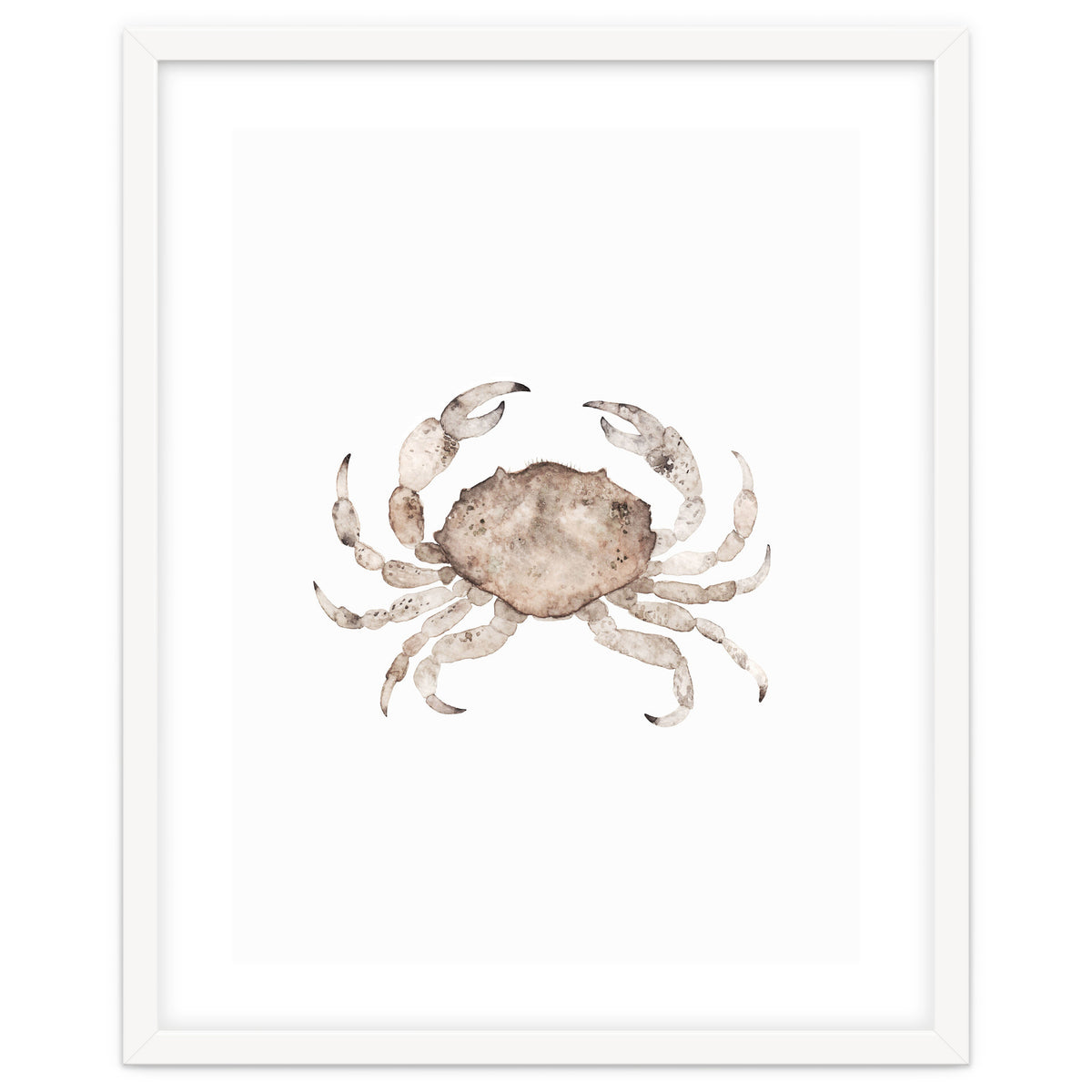Crab