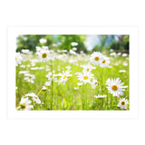 Flowers (Print Only) thumbnail