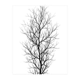 The Tree Black (Print Only) thumbnail