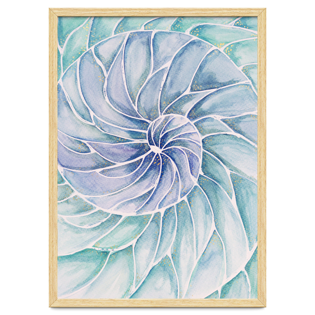 The inside of a shell