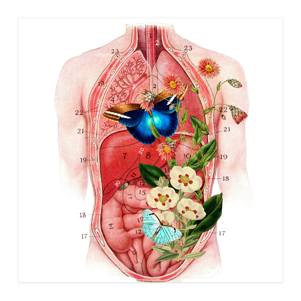 Butterflys In The Belly Makes Flower Grows (Print Only)