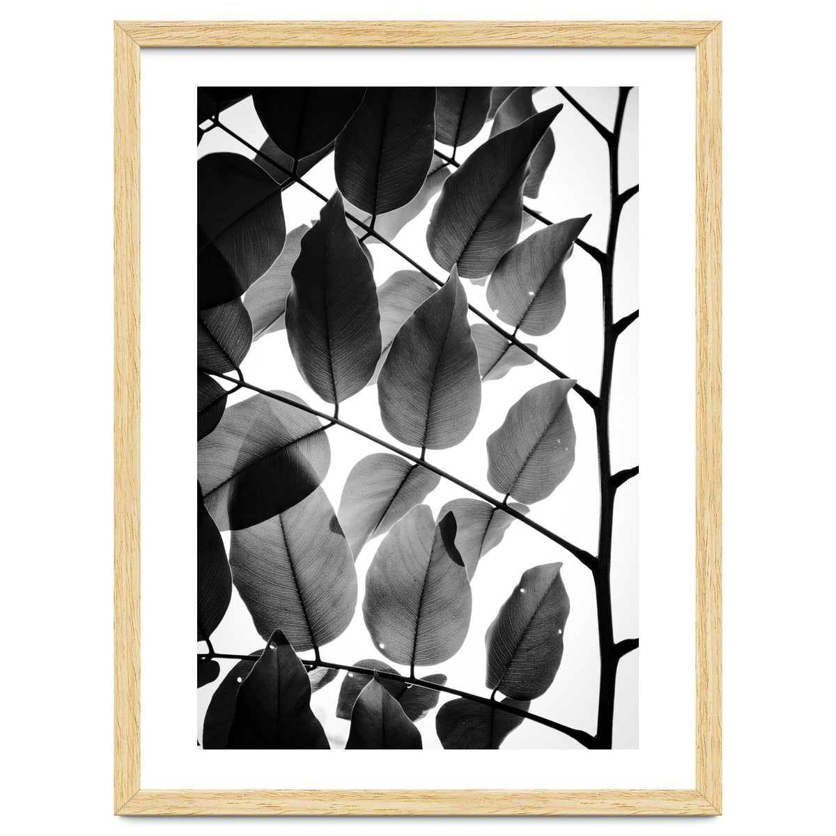 Branches and Leaves II