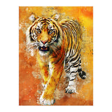 Tiger (Print Only) thumbnail