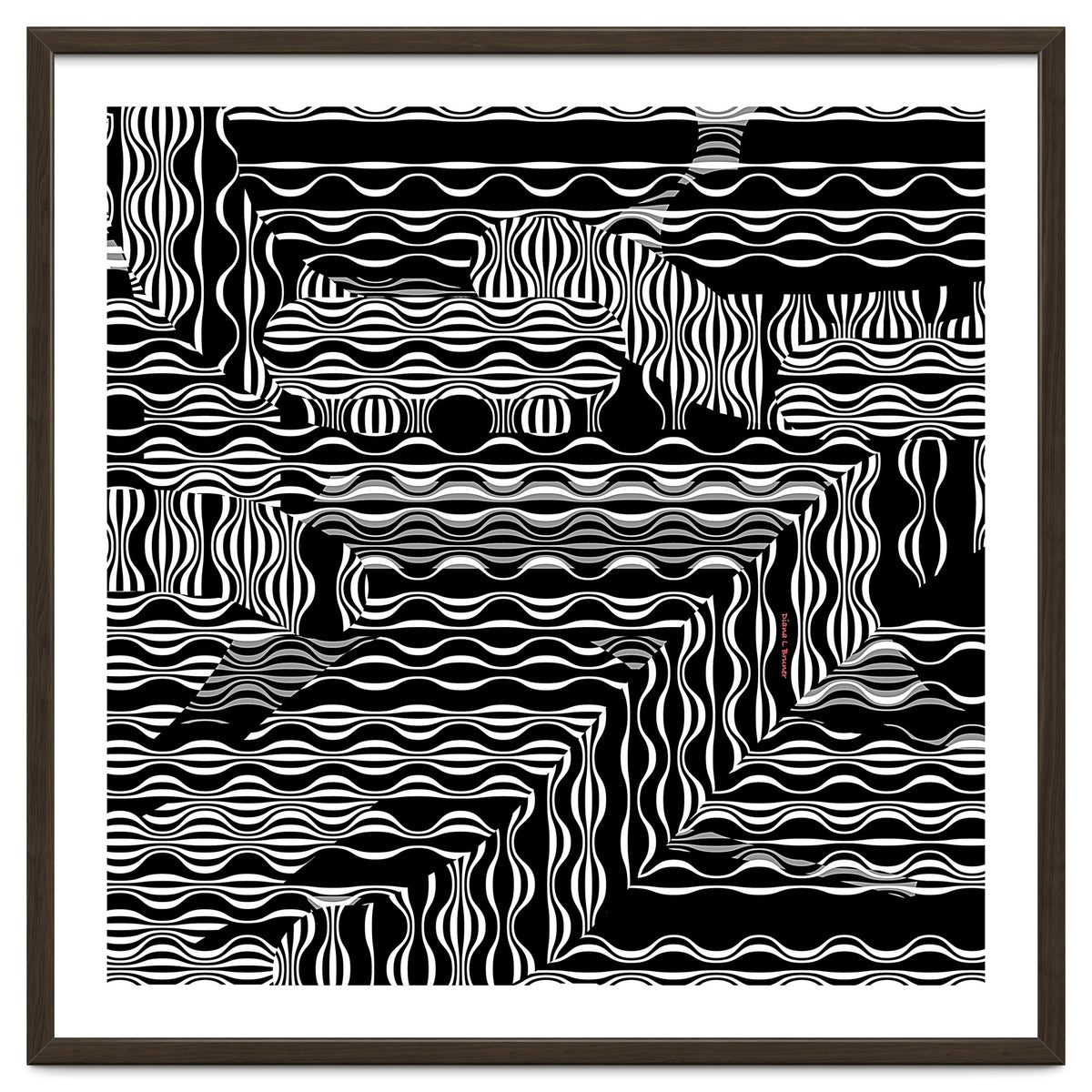 BLACK AND WHITE EXOTIC