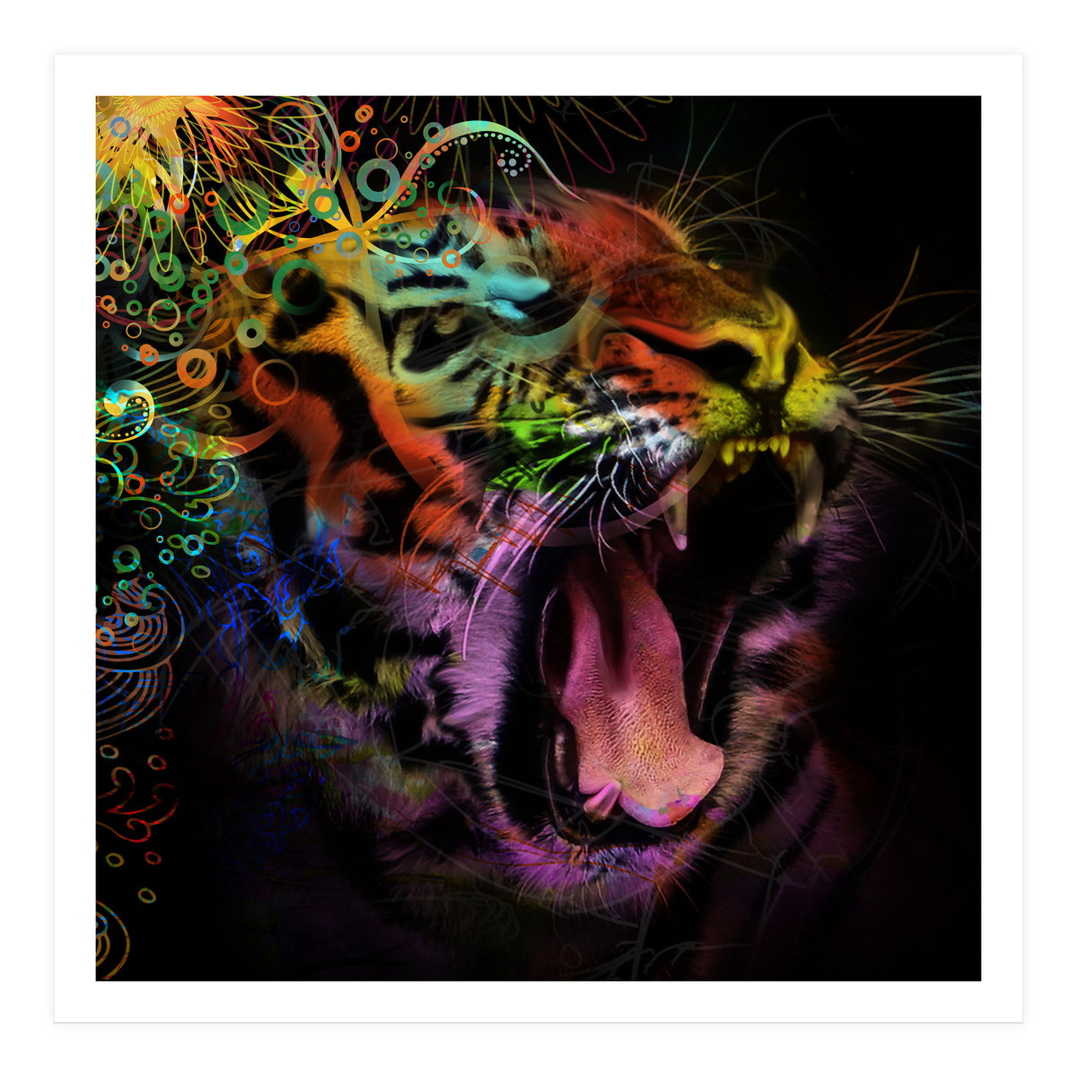 Tiger5 (Print Only)