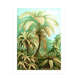 Vintage Tropical | Jungle Botanical Nature Banana Tree | Bohemian Plants Trees Forest (Print Only) thumbnail