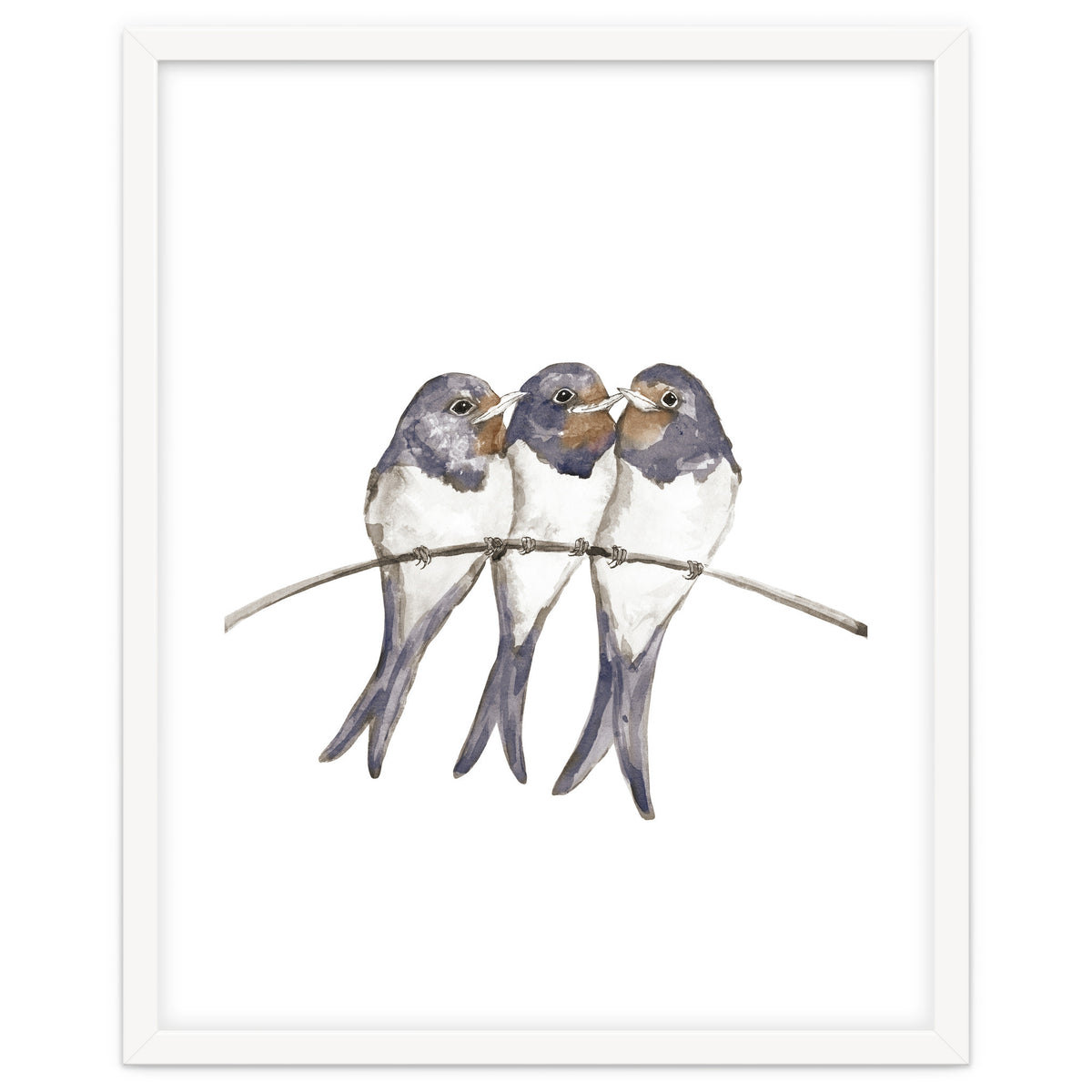 Three young swallows