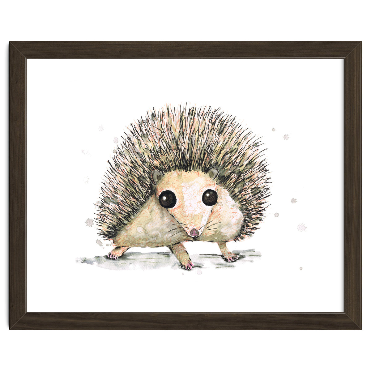 Hedgehog