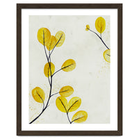 Golden birch leaves