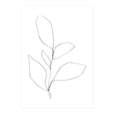 Five Leaf Plant (Print Only) thumbnail