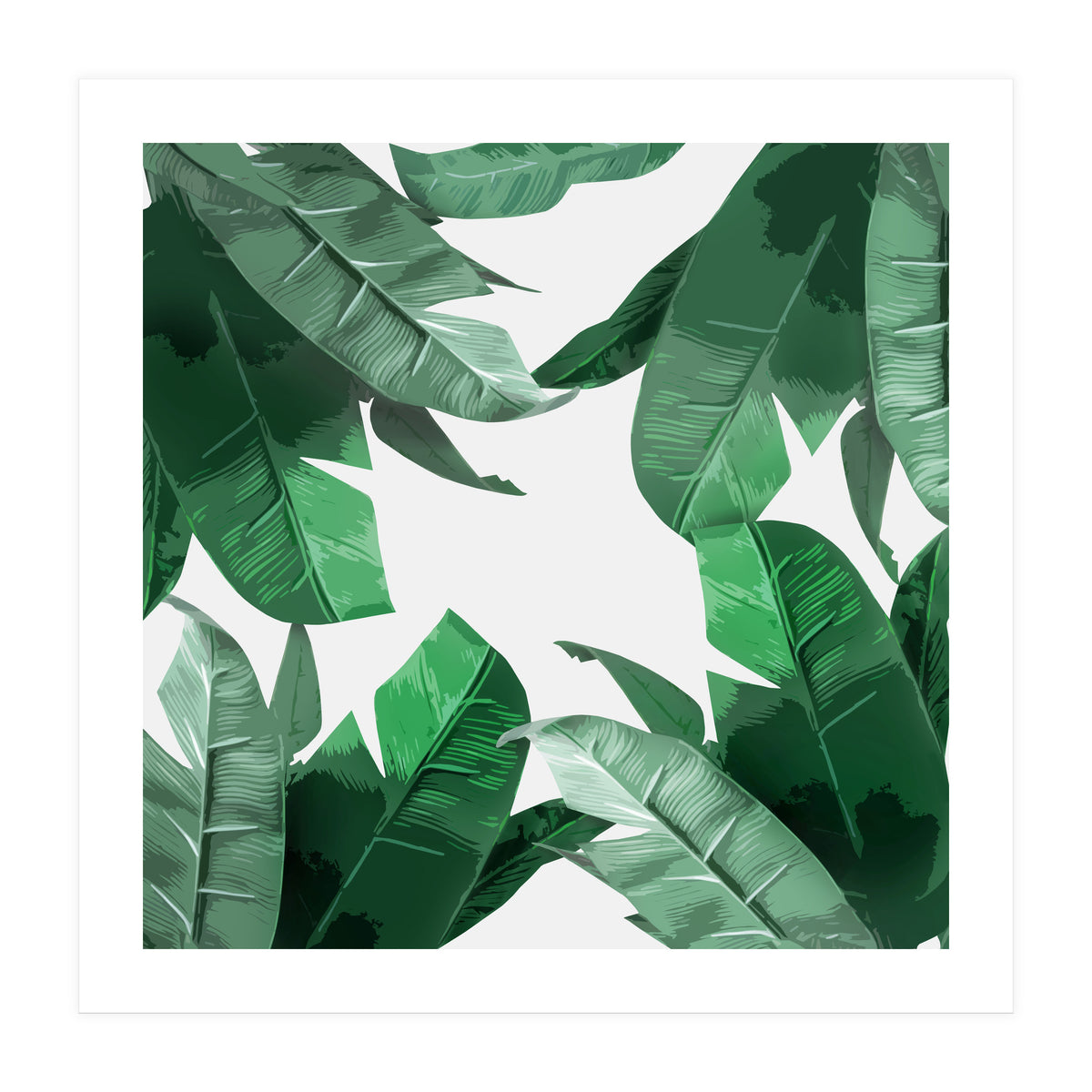 Tropical Palm Print (Print Only)