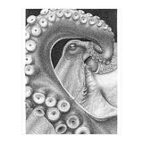 Octopus no. 1 (Print Only) thumbnail