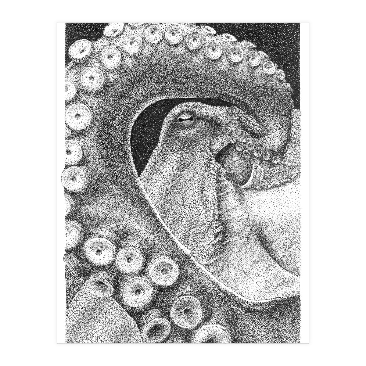 Octopus no. 1 (Print Only)