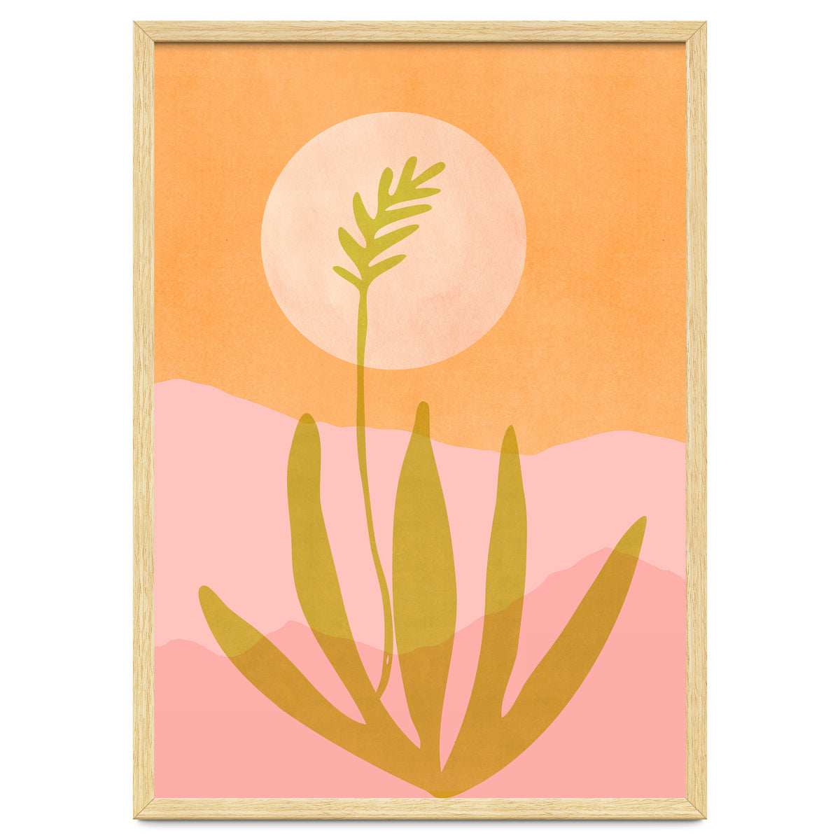 Desert Moon With Agave