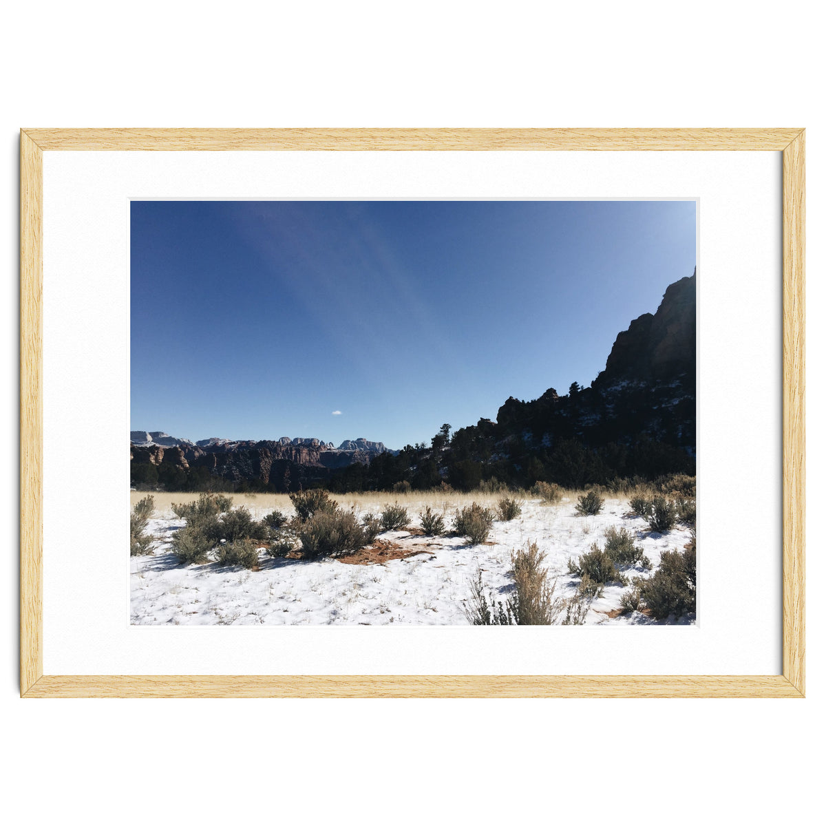 Zion National Park II