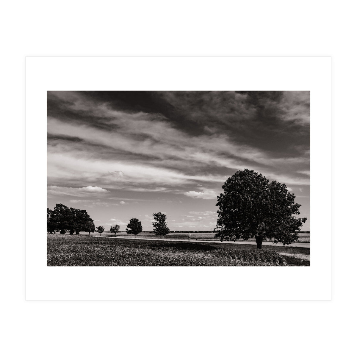 Country Road, Illinois  (Print Only)