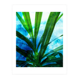 Remixed Spirit V1 (Print Only) thumbnail