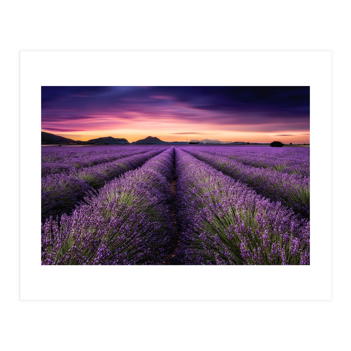 Mindfulness (Print Only)