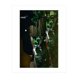 Disappeared Dreams 5 (Print Only) thumbnail